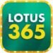 Lotus 365 APK